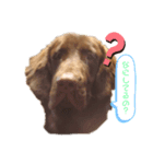 Kawaiiaiken！！！（個別スタンプ：4）