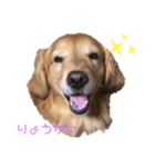 Kawaiiaiken！！！（個別スタンプ：5）