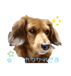 Kawaiiaiken！！！（個別スタンプ：7）