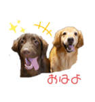 Kawaiiaiken！！！（個別スタンプ：8）