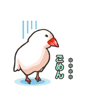 ラクガキ動物園26【文鳥5】（個別スタンプ：10）