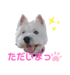 フロレベすたんぷ6（個別スタンプ：1）
