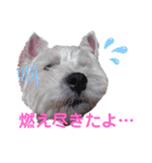 フロレベすたんぷ6（個別スタンプ：2）