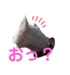フロレベすたんぷ6（個別スタンプ：10）