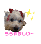 フロレベすたんぷ6（個別スタンプ：25）