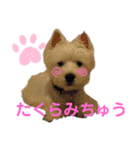 フロレベすたんぷ6（個別スタンプ：30）