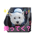 フロレベすたんぷ6（個別スタンプ：33）