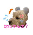 フロレベすたんぷ6（個別スタンプ：38）