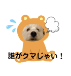 フロレベすたんぷ6（個別スタンプ：39）
