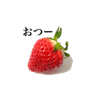 いちごモンスター（個別スタンプ：1）
