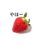 いちごモンスター（個別スタンプ：2）