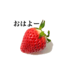 いちごモンスター（個別スタンプ：3）