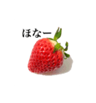 いちごモンスター（個別スタンプ：5）