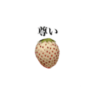 いちごモンスター（個別スタンプ：11）