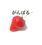 いちごモンスター（個別スタンプ：25）