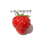 いちごモンスター（個別スタンプ：29）