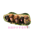 ダックスファミリー☆5（個別スタンプ：11）