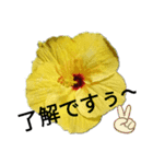 cute かわいいスタンプ（個別スタンプ：2）