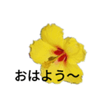 cute かわいいスタンプ（個別スタンプ：6）
