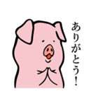 おとなしいブタ（個別スタンプ：1）