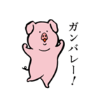 おとなしいブタ（個別スタンプ：6）