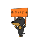 ダルそうなダックス（個別スタンプ：14）