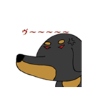 ダルそうなダックス（個別スタンプ：17）