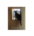 じじたまの日常①（個別スタンプ：7）