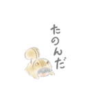 あにまるたんたち（個別スタンプ：21）