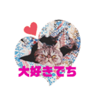 ぶりたまん（個別スタンプ：4）