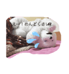 七五三のろこんちゃん！（個別スタンプ：4）