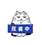 猫の微笑ましい日常生活（個別スタンプ：31）