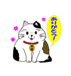 猫の微笑ましい日常生活（個別スタンプ：36）