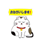 猫の微笑ましい日常生活（個別スタンプ：38）