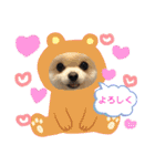 ポメラニアン♡レオ（個別スタンプ：26）