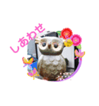 七五三のフクロウたち（個別スタンプ：4）