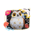 七五三のフクロウたち（個別スタンプ：5）