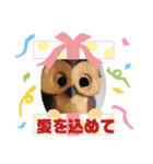 七五三のフクロウたち（個別スタンプ：8）