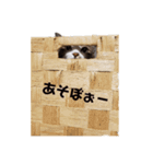 もこふく（個別スタンプ：4）
