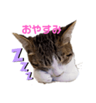 もこふく（個別スタンプ：8）