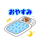 ポメラニアン★ポロン（個別スタンプ：2）