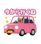 ポメラニアン★ポロン（個別スタンプ：13）