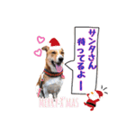 リアム＆ジュナゆく年くる年編（個別スタンプ：4）
