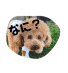 かんべえくん。（個別スタンプ：1）