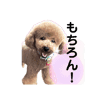 かんべえくん。（個別スタンプ：8）
