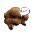 かんべえくん。（個別スタンプ：10）