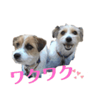 ペットのいるママさんの日常会話スタンプ（個別スタンプ：20）