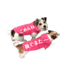ペットのいるママさんの日常会話スタンプ（個別スタンプ：26）