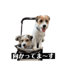 ペットのいるママさんの日常会話スタンプ（個別スタンプ：32）