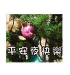 クリスマス＆新年-高齢者の図（個別スタンプ：1）